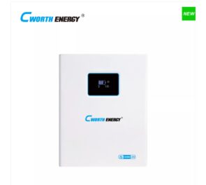 Cworth 5KWh 51.2V Lithium Battery Wall Mount